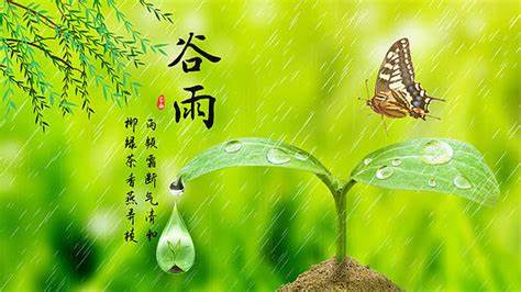 小儿推拿助健康